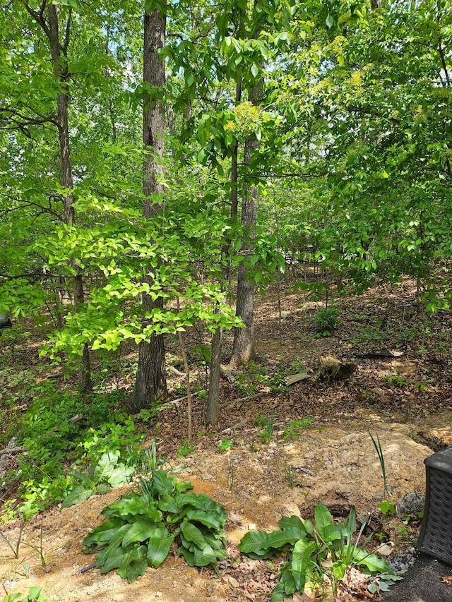 0 Ridge View Ln, Elkton, VA 22827