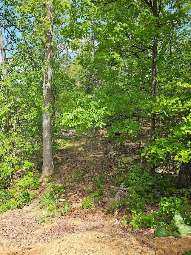 0 Ridge View Ln, Elkton, VA 22827