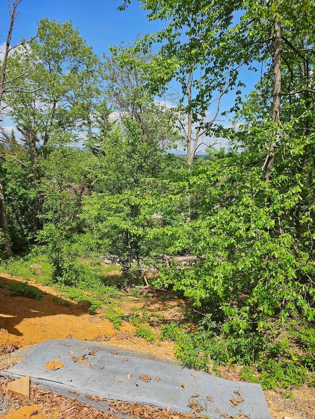0 Ridge View Ln, Elkton, VA 22827