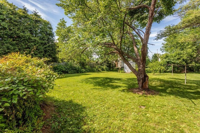 530 Water St W, Harrisonburg, VA 22801 - view of yard