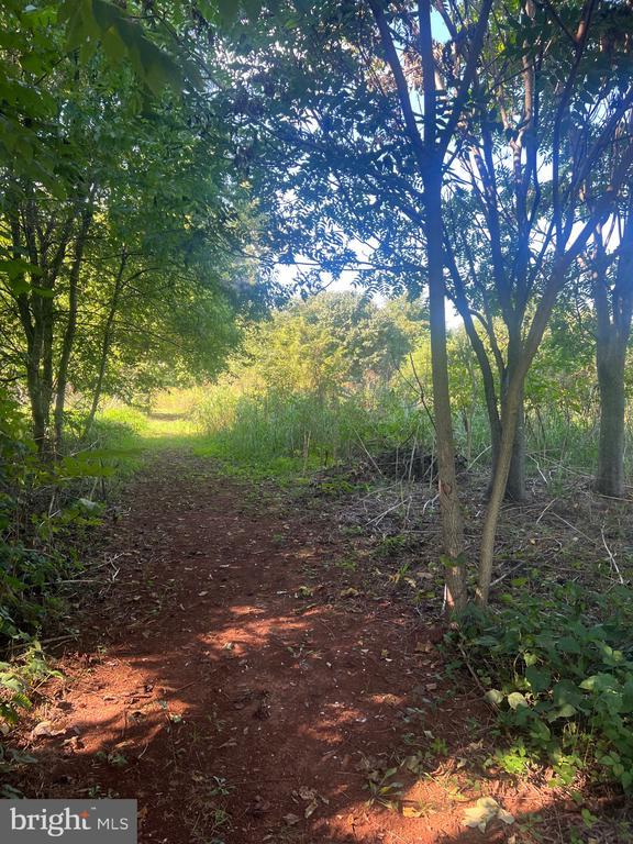 James Madison Hwy, Gordonsville, VA 22942 - photo 4