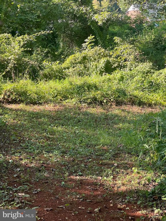 James Madison Hwy, Gordonsville, VA 22942 - photo 7