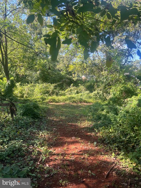 James Madison Hwy, Gordonsville, VA 22942 - photo 2
