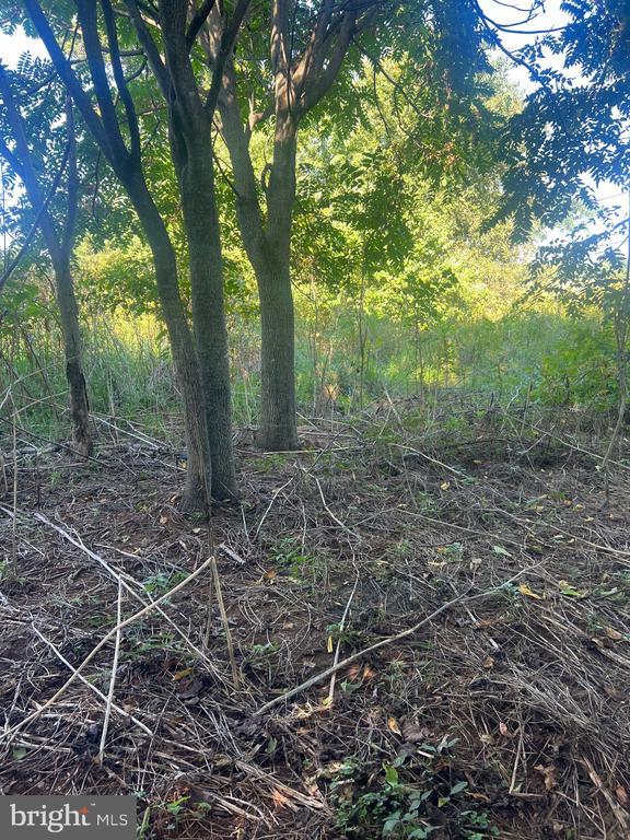 James Madison Hwy, Gordonsville, VA 22942 - photo 5