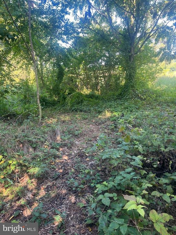 James Madison Hwy, Gordonsville, VA 22942 - photo 6