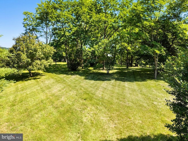  - view of grassy yard