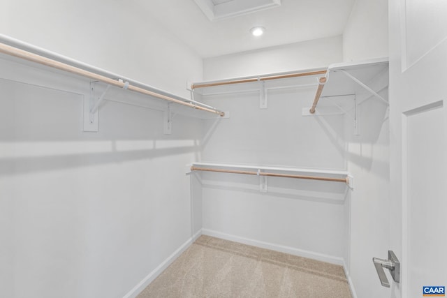2253 Woodburn Rd, Charlottesville, VA 22901 - photo 26