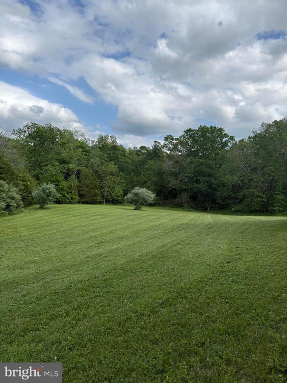 view of grassy yard with a wooded view