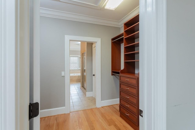 3277 Preston Shore Dr, Rockingham, VA 22801 - walk in closet with light wood-style floors