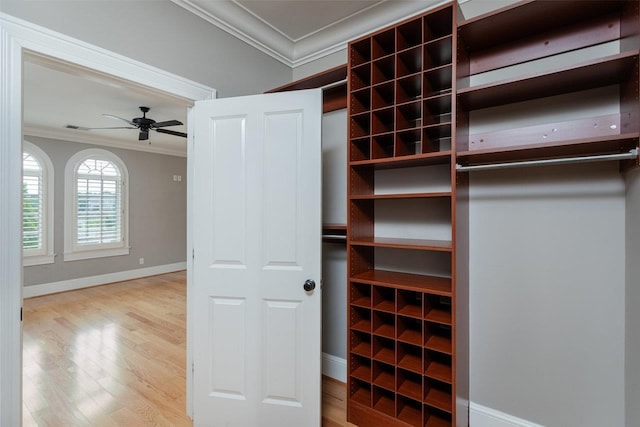 3277 Preston Shore Dr, Rockingham, VA 22801 - view of closet
