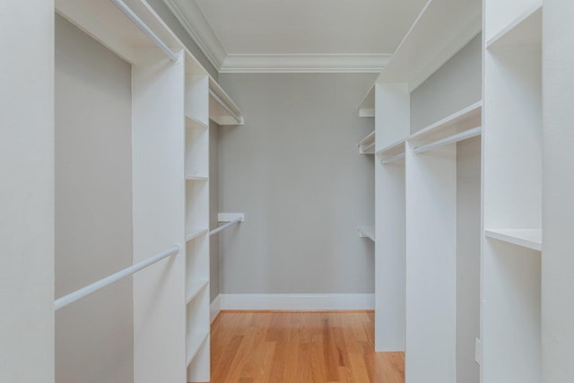 3277 Preston Shore Dr, Rockingham, VA 22801 - walk in closet with wood finished floors