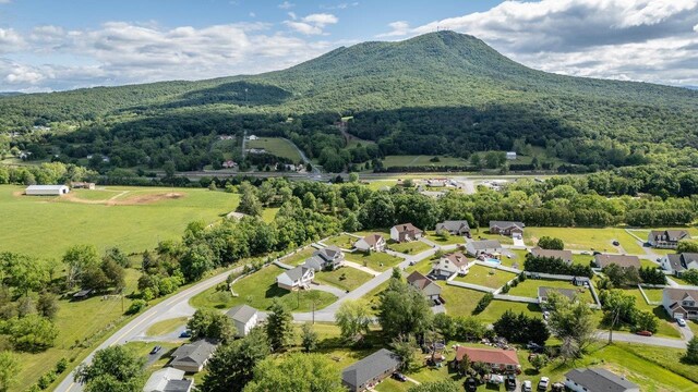 6081 Dotts Ln, Penn Laird, VA 22846 - photo 57