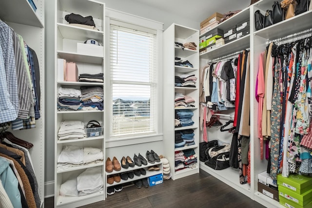 spacious closet with dark wood-style floors