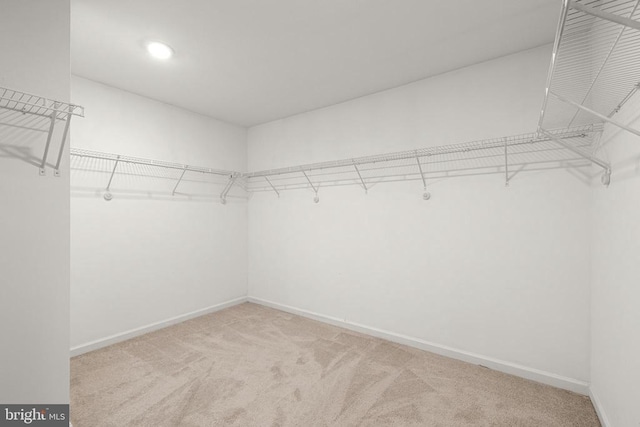 1708 Hudgins Farm Cir, Fredericksburg, VA 22408 - walk in closet with light colored carpet