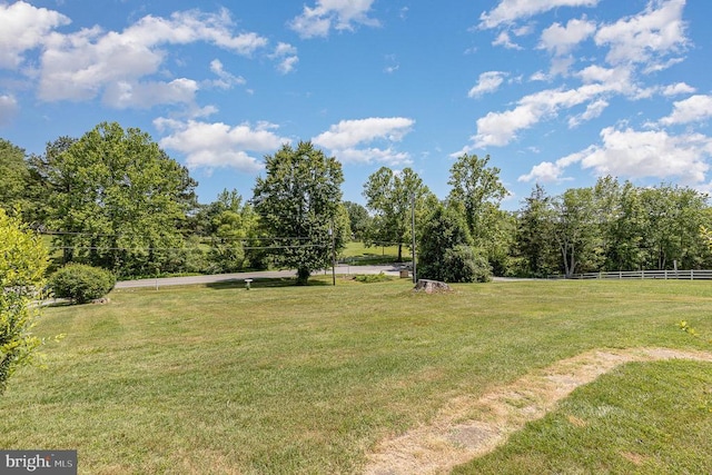 7934 Courthouse Rd, Spotsylvania, VA 22551 - view of yard