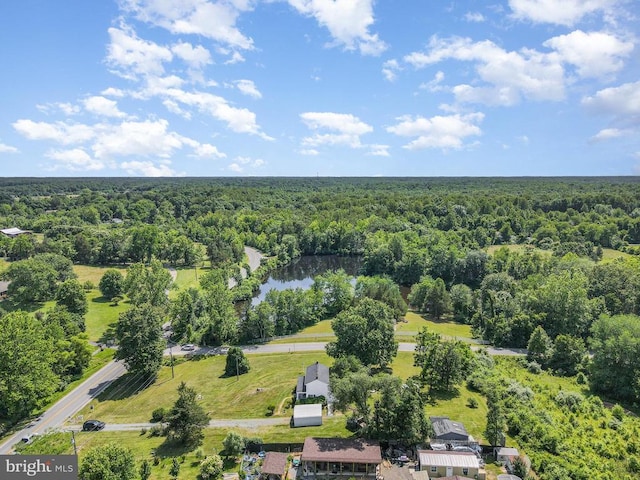 7934 Courthouse Rd, Spotsylvania, VA 22551 - bird's eye view of a forest