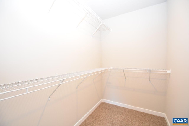 1211 Shenandoah Crossing Dr, Gordonsville, VA 22942 - walk in closet with light colored carpet