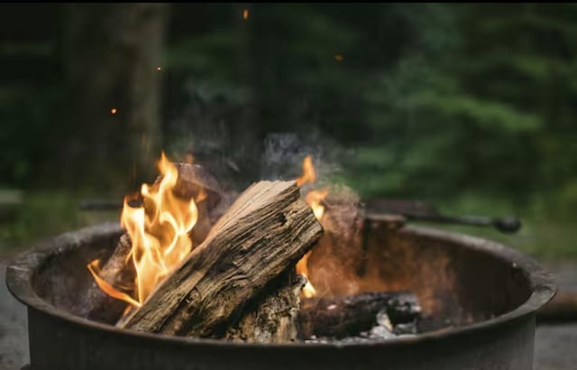 409 Lower Rawley Ln, Hinton, VA 22831 - details featuring an outdoor fire pit and heating fuel