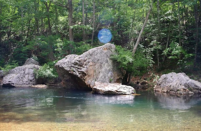 409 Lower Rawley Ln, Hinton, VA 22831 - view of water feature