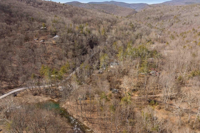 409 Lower Rawley Ln, Hinton, VA 22831 - view of mountain feature with a view of trees