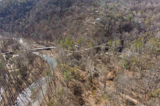 409 Lower Rawley Ln, Hinton, VA 22831 - aerial view with a view of trees