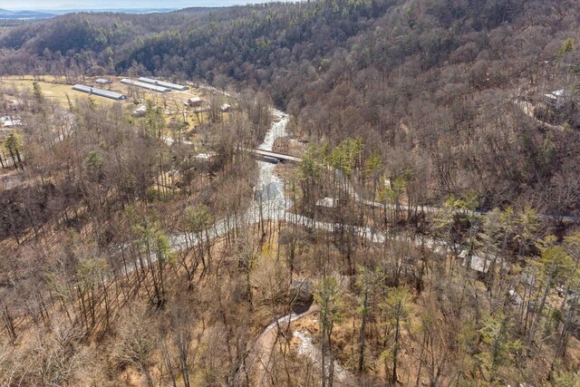 409 Lower Rawley Ln, Hinton, VA 22831 - bird's eye view with a mountain view and a forest view