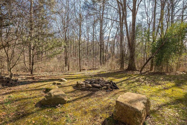 409 Lower Rawley Ln, Hinton, VA 22831 - view of yard featuring a forest view and a fire pit