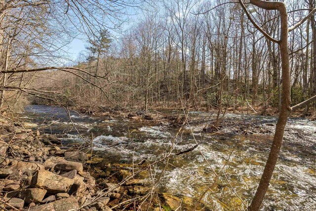 409 Lower Rawley Ln, Hinton, VA 22831 - view of nature