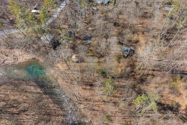 409 Lower Rawley Ln, Hinton, VA 22831 - drone / aerial view