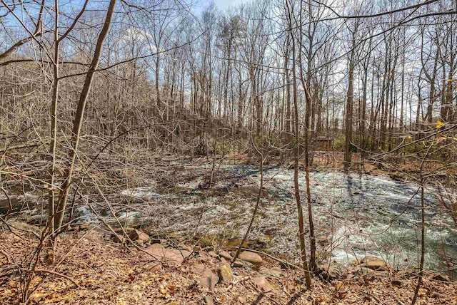 409 Lower Rawley Ln, Hinton, VA 22831 - view of local wilderness