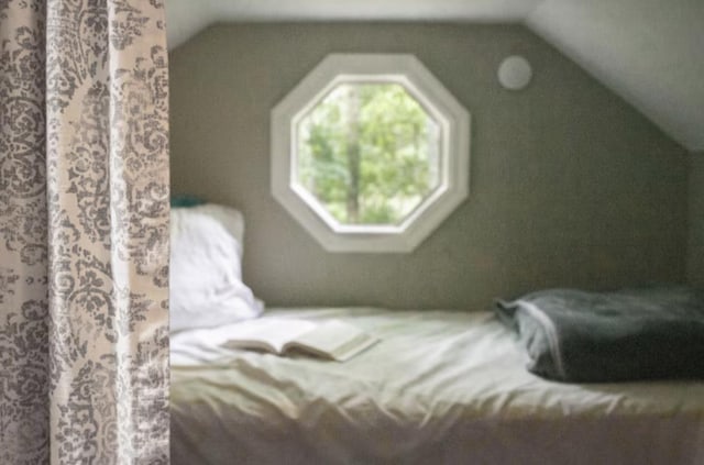 409 Lower Rawley Ln, Hinton, VA 22831 - bedroom featuring lofted ceiling