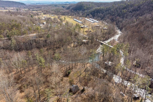 409 Lower Rawley Ln, Hinton, VA 22831 - drone / aerial view featuring a mountain view and a forest view