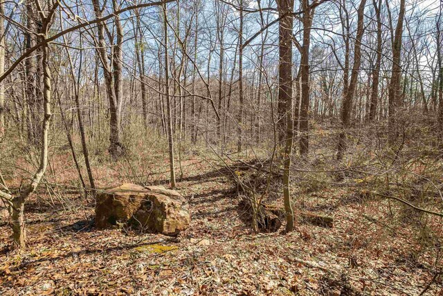 409 Lower Rawley Ln, Hinton, VA 22831 - view of nature with a forest view