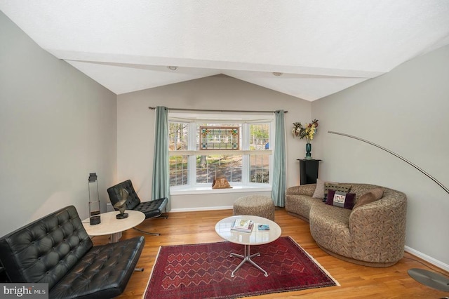 108 Harris Ct, Locust Grove, VA 22508 - living room with lofted ceiling, wood finished floors, and baseboards