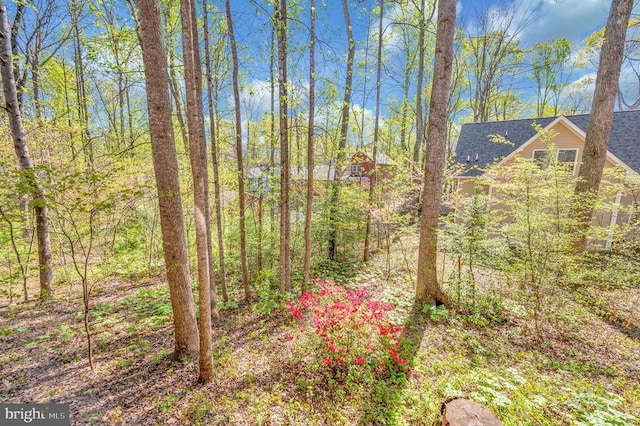 108 Harris Ct, Locust Grove, VA 22508 - view of nature