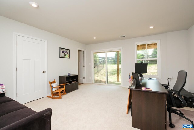 4413 Alston St, Crozet, VA 22932 - photo 26