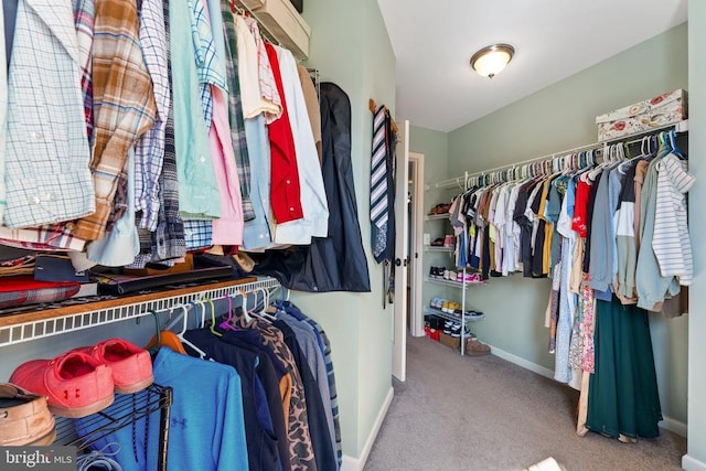 walk in closet with carpet flooring