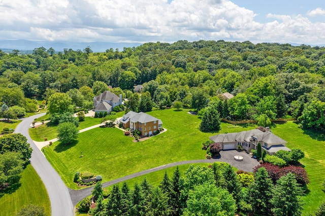 3417 Lake Pointe Dr, Rockingham, VA 22801 - aerial view of property and surrounding area featuring a forest