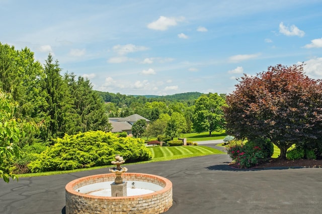 3417 Lake Pointe Dr, Rockingham, VA 22801 - view of property's community with a wooded view