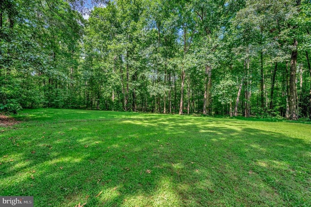 13008 Grant Ct, Spotsylvania, VA 22551 - photo 42