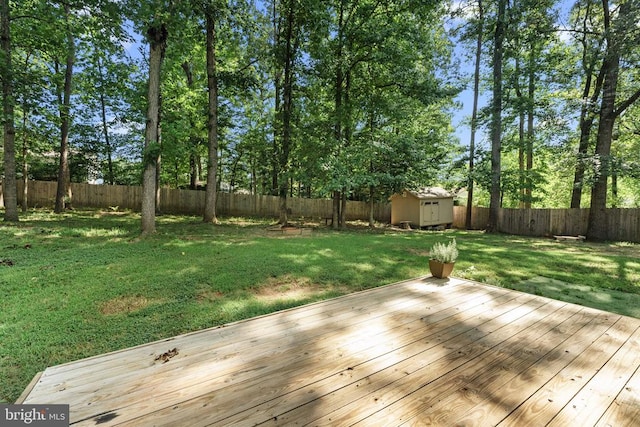 6803 Plantation Forest Dr, Spotsylvania, VA 22553 - photo 27