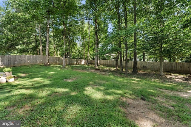 6803 Plantation Forest Dr, Spotsylvania, VA 22553 - photo 30