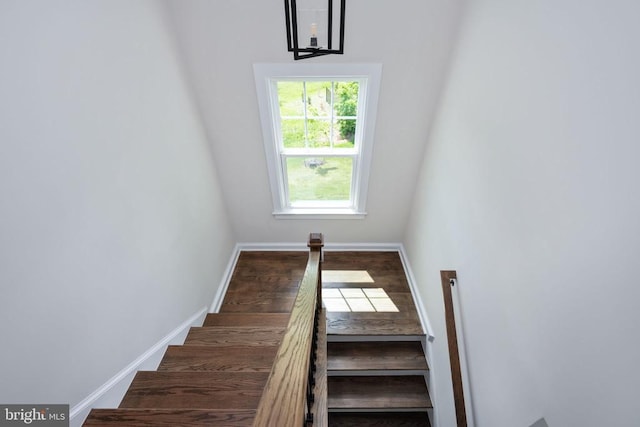 11207 Redlands Trl, Spotsylvania, VA 22551 - stairway featuring baseboards and wood finished floors