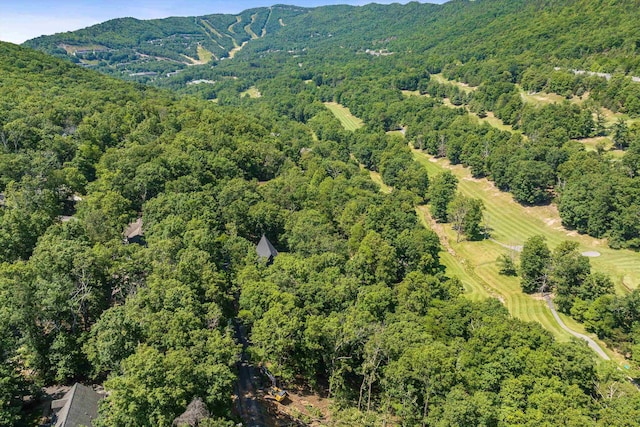 183 Deer Dr, Mcgaheysville, VA 22840 - drone / aerial view of mountains