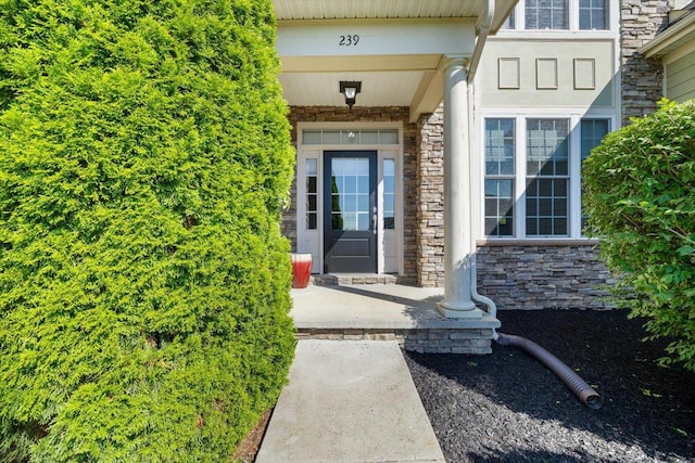 239 Windsor Dr, Fishersville, VA 22939 - doorway to property featuring stone siding