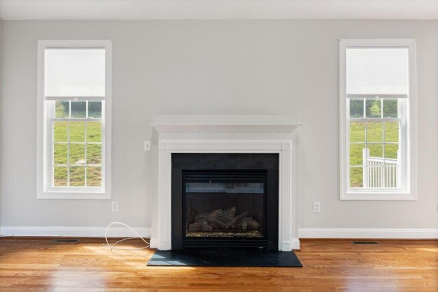 239 Windsor Dr, Fishersville, VA 22939 - detailed view of wood finished floors and a glass covered fireplace