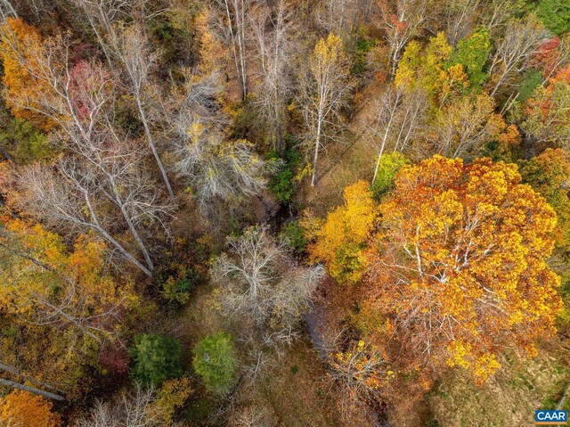 2395 Mountain Brook Dr, Charlottesville, VA 22902 - birds eye view of property