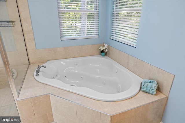 205 Saylers Crk, Locust Grove, VA 22508 - full bath with plenty of natural light and a whirlpool tub