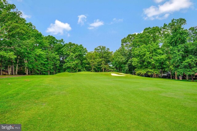 205 Saylers Crk, Locust Grove, VA 22508 - view of grassy yard with view of scattered trees and golf course view