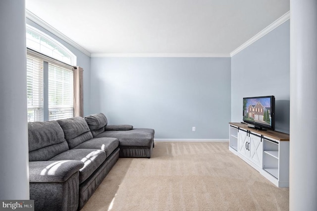5606 Joshua Tree Cir, Fredericksburg, VA 22407 - living room featuring ornamental molding, light colored carpet, and baseboards